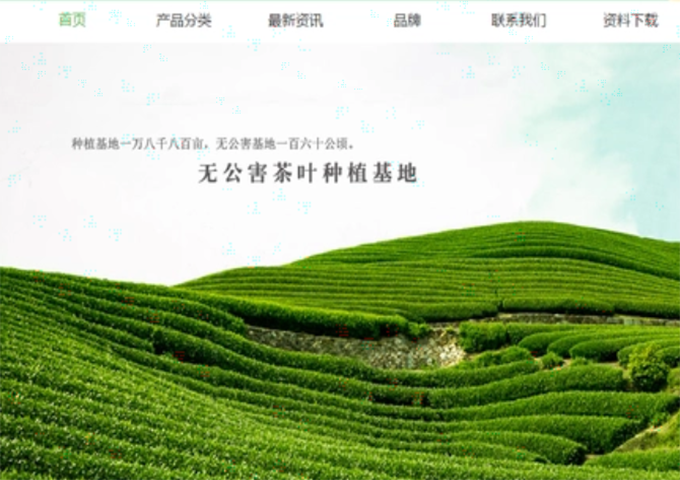 茶葉網(wǎng)站建設(shè)！